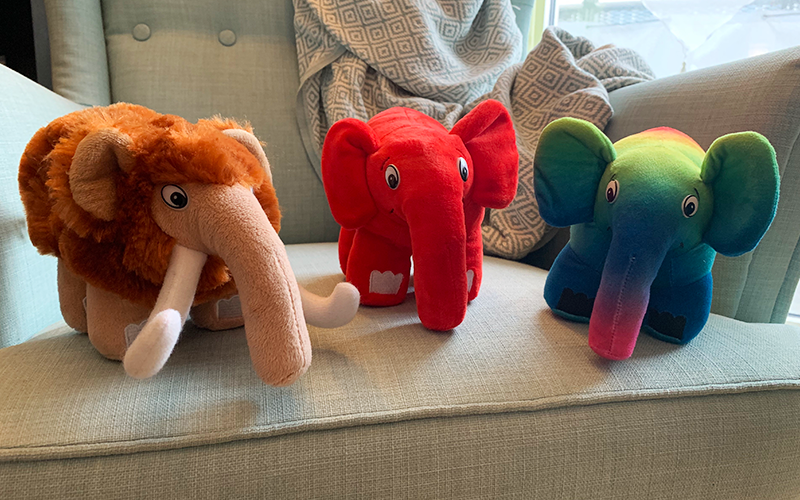 elephpants